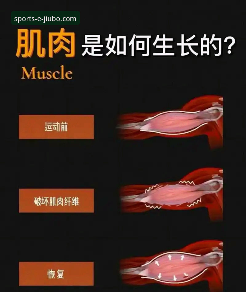 新手必看！九博体育平台使用心得与常见问题全解析