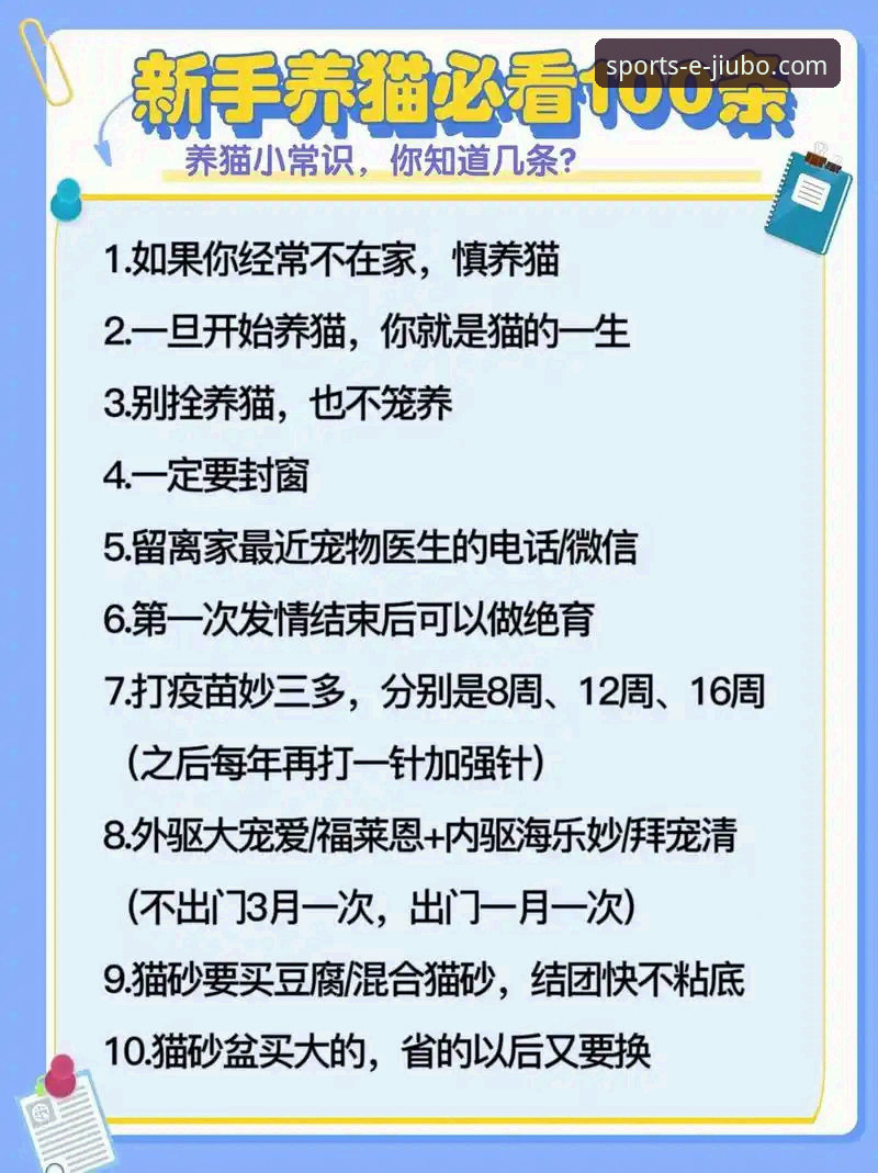 新手必看！九博体育平台使用心得与常见问题全解析